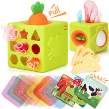 Load image into Gallery viewer, Silicon Carrot Tissue Box