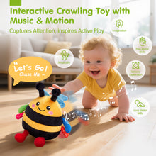 Load image into Gallery viewer, Musical Dancing Bee Toy
