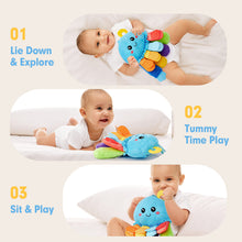 Laden Sie das Bild in den Galerie-Viewer, Multi-Sensory Tummy Time Toy