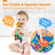 Load image into Gallery viewer, Baby Books 0-6 Months Crinkle Baby Toys 2 PCS