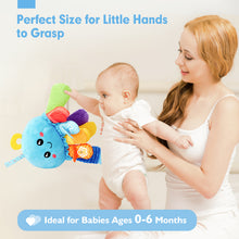 Laden Sie das Bild in den Galerie-Viewer, Multi-Sensory Tummy Time Toy
