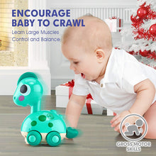 Load image into Gallery viewer, Crawling Dinosaur Toys
